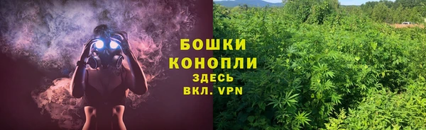 твердый Богданович
