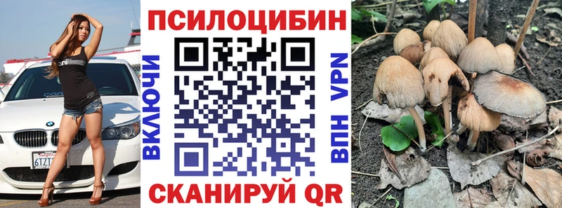 Псилоцибиновые грибы GOLDEN TEACHER  где продают наркотики  Юрюзань 